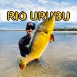 pesca-tucunare-amazonia